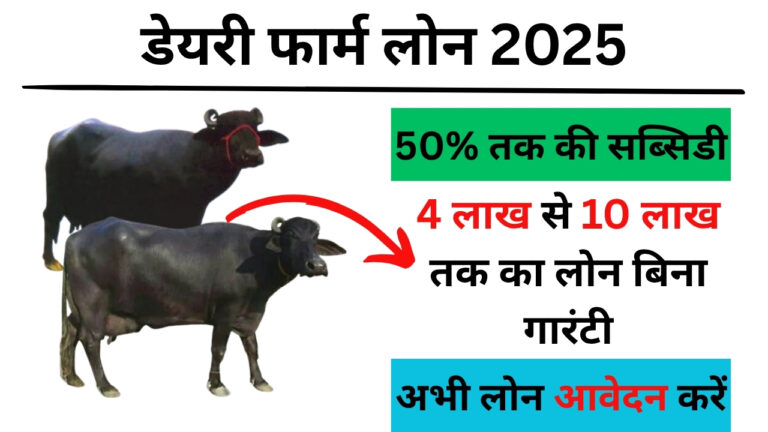 Dairy Farming Loan, Dairy Farming Loan Apply, Dairy Farming Loan Apply Online